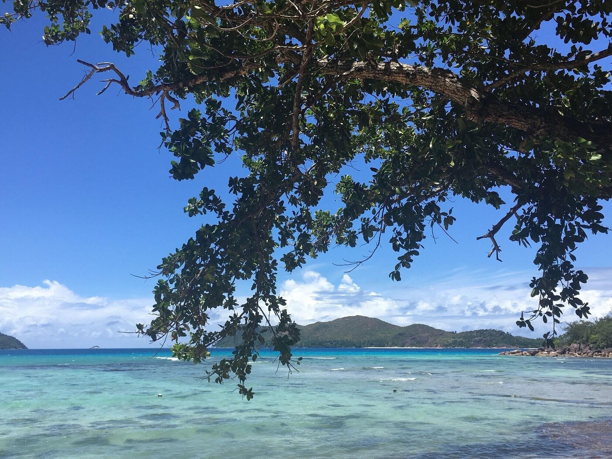 Le Domaine De La Reserve Anse Volbert Village Екстериор снимка